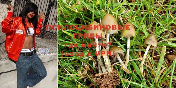 винт Михайловка