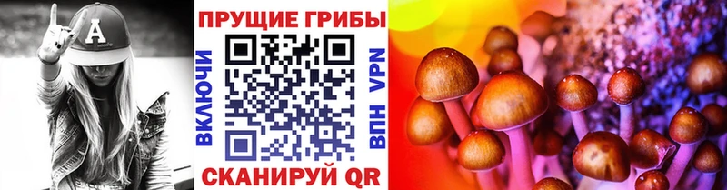 Псилоцибиновые грибы Magic Shrooms  купить   Нюрба 